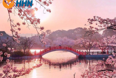 Thủ Tục Xin Visa Du Học Nhật Bản Mới Nhất Năm 2023