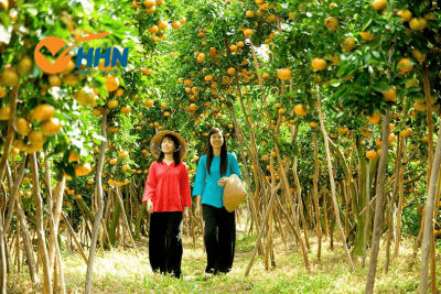 Du Lịch Bến Tre  - Chuyến Nghỉ Dưỡng 2022