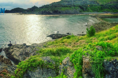 Du Lịch Vũng Tàu Có Gì Mà Ai Ai Cũng Muốn Đến 